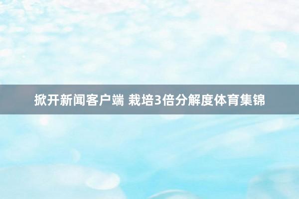 掀开新闻客户端 栽培3倍分解度体育集锦