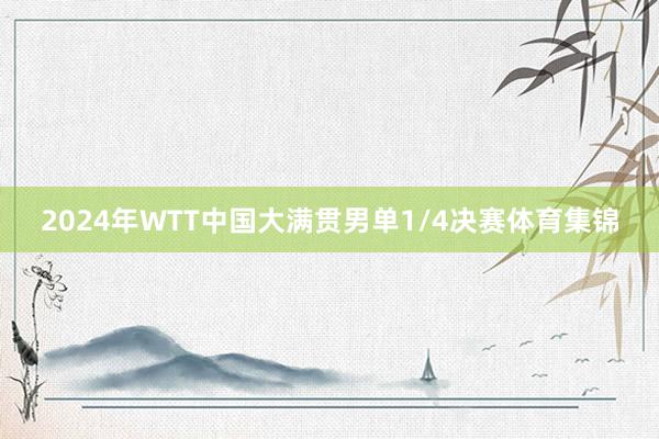 2024年WTT中国大满贯男单1/4决赛体育集锦