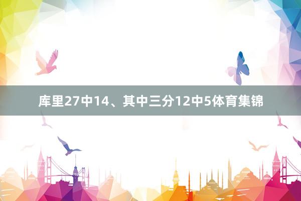 库里27中14、其中三分12中5体育集锦