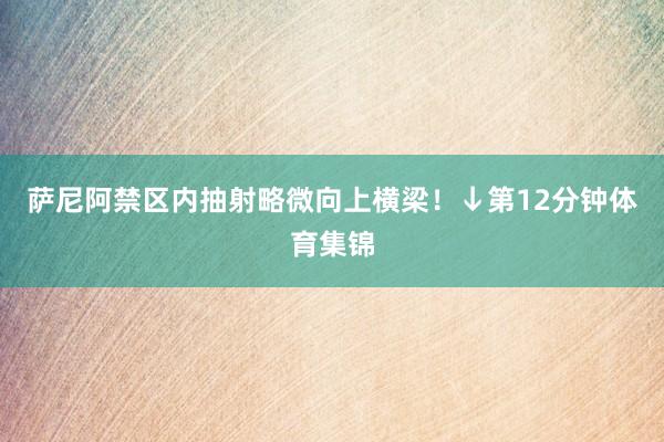 萨尼阿禁区内抽射略微向上横梁！↓第12分钟体育集锦