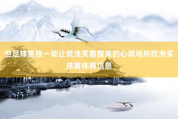 但足球是独一能让我浅笑着醒来的心扉场所欧洲买球赛体育信息