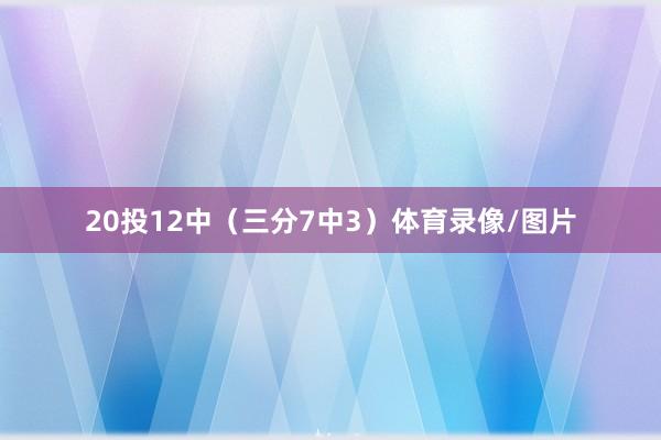 20投12中（三分7中3）体育录像/图片