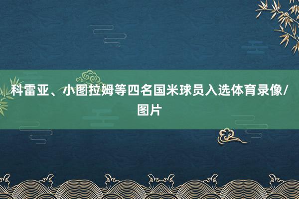 科雷亚、小图拉姆等四名国米球员入选体育录像/图片