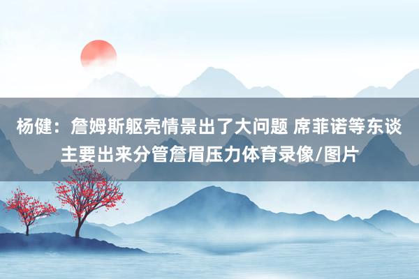 杨健：詹姆斯躯壳情景出了大问题 席菲诺等东谈主要出来分管詹眉压力体育录像/图片