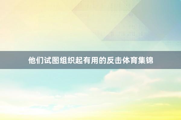 他们试图组织起有用的反击体育集锦