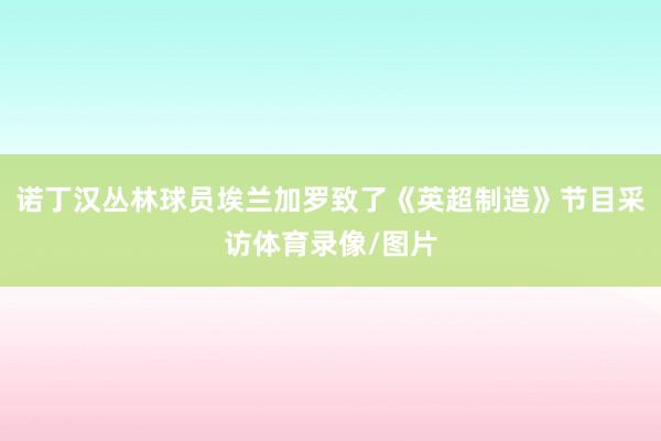 诺丁汉丛林球员埃兰加罗致了《英超制造》节目采访体育录像/图片