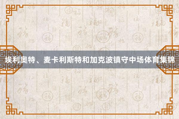 埃利奥特、麦卡利斯特和加克波镇守中场体育集锦