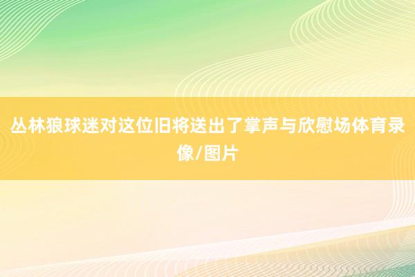 丛林狼球迷对这位旧将送出了掌声与欣慰场体育录像/图片