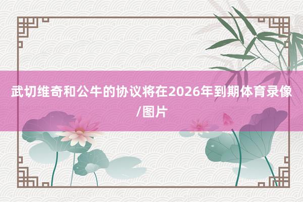 武切维奇和公牛的协议将在2026年到期体育录像/图片