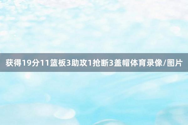 获得19分11篮板3助攻1抢断3盖帽体育录像/图片