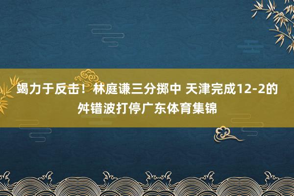 竭力于反击！林庭谦三分掷中 天津完成12-2的舛错波打停广东体育集锦