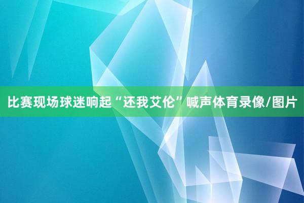 比赛现场球迷响起“还我艾伦”喊声体育录像/图片