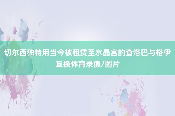 切尔西独特用当今被租赁至水晶宫的查洛巴与格伊互换体育录像/图片