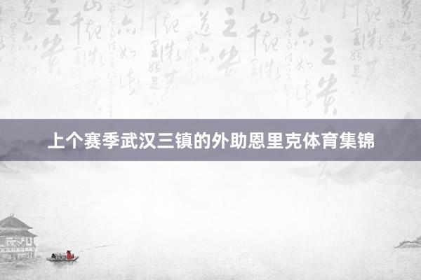 上个赛季武汉三镇的外助恩里克体育集锦