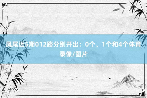 凤尾近5期012路分别开出：0个、1个和4个体育录像/图片