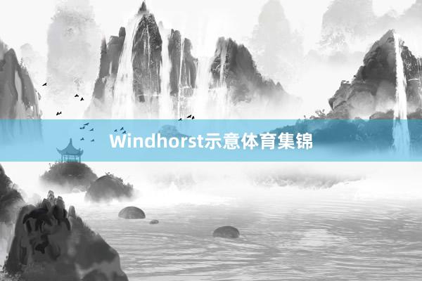 Windhorst示意体育集锦